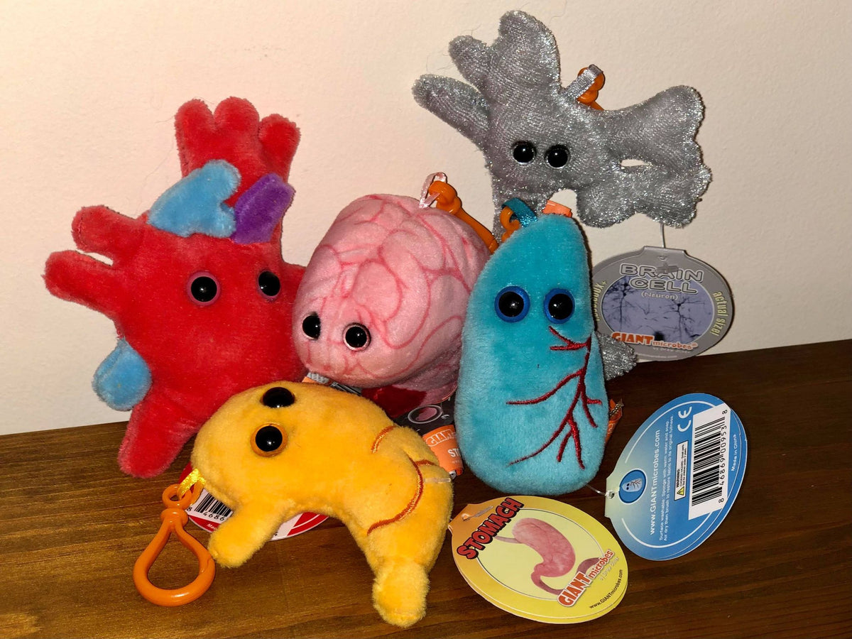 Five plush body part aides – TAM's Journey