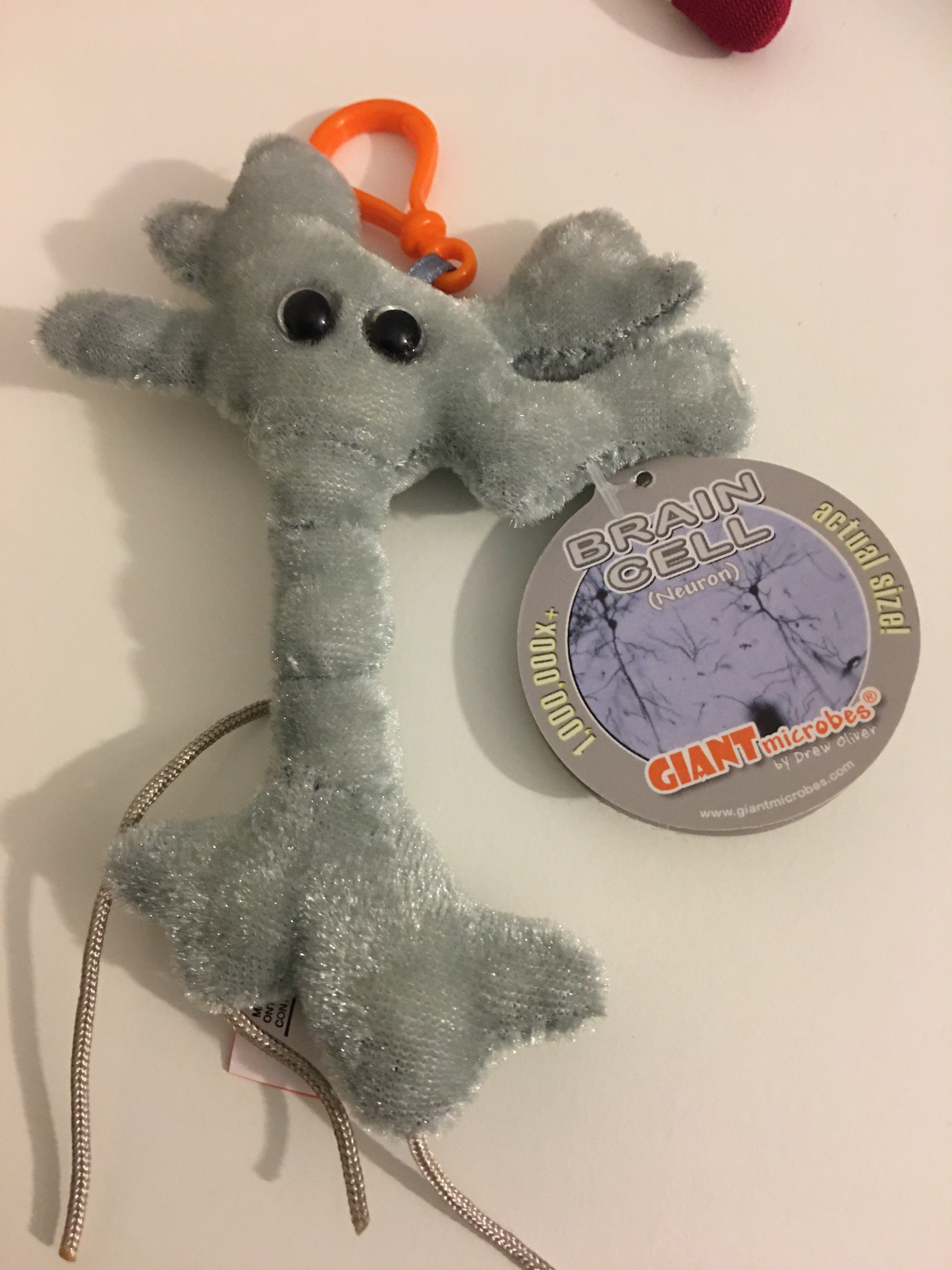 Brain sales cell plush