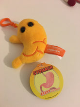 Load image into Gallery viewer, Tummy/Stomach Plush Key Ring