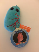 Load image into Gallery viewer, Lung plush key ring